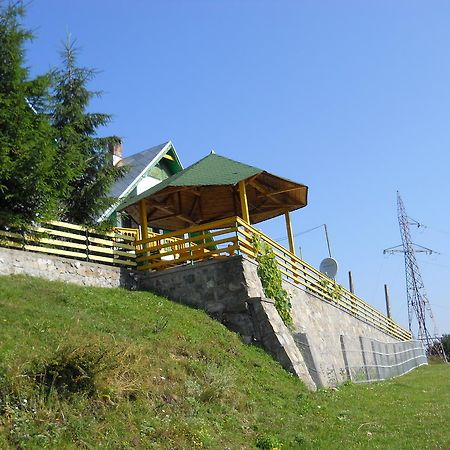 Pensiunea Luminita Ciungetu Экстерьер фото