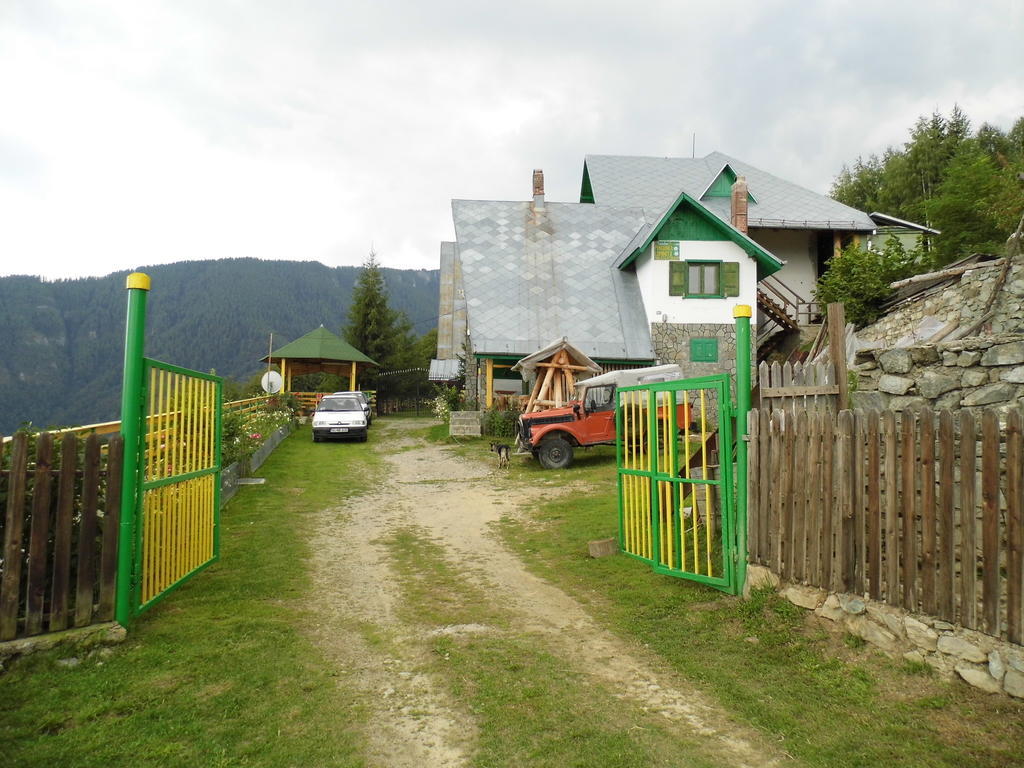 Pensiunea Luminita Ciungetu Экстерьер фото